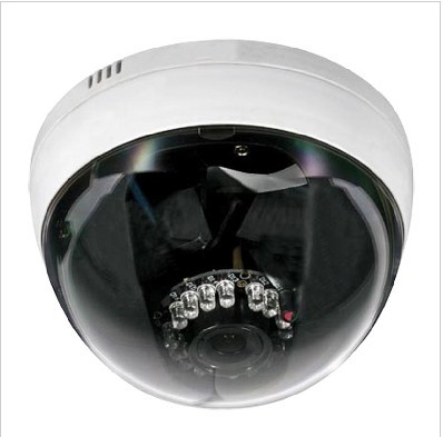 Sony CCD DSP Network Camera Dome IP Camera